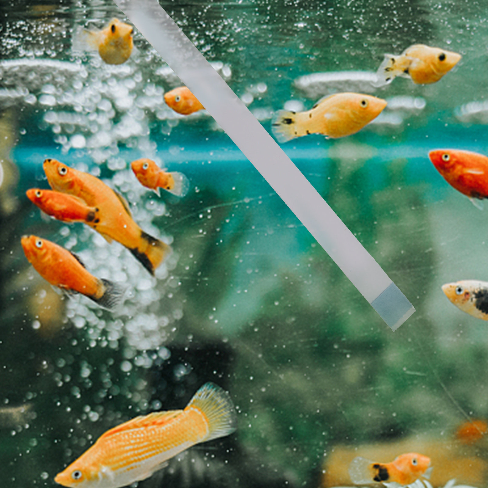 Aquarium Test Kit - 1 коробка тест-полосок для определения жесткости