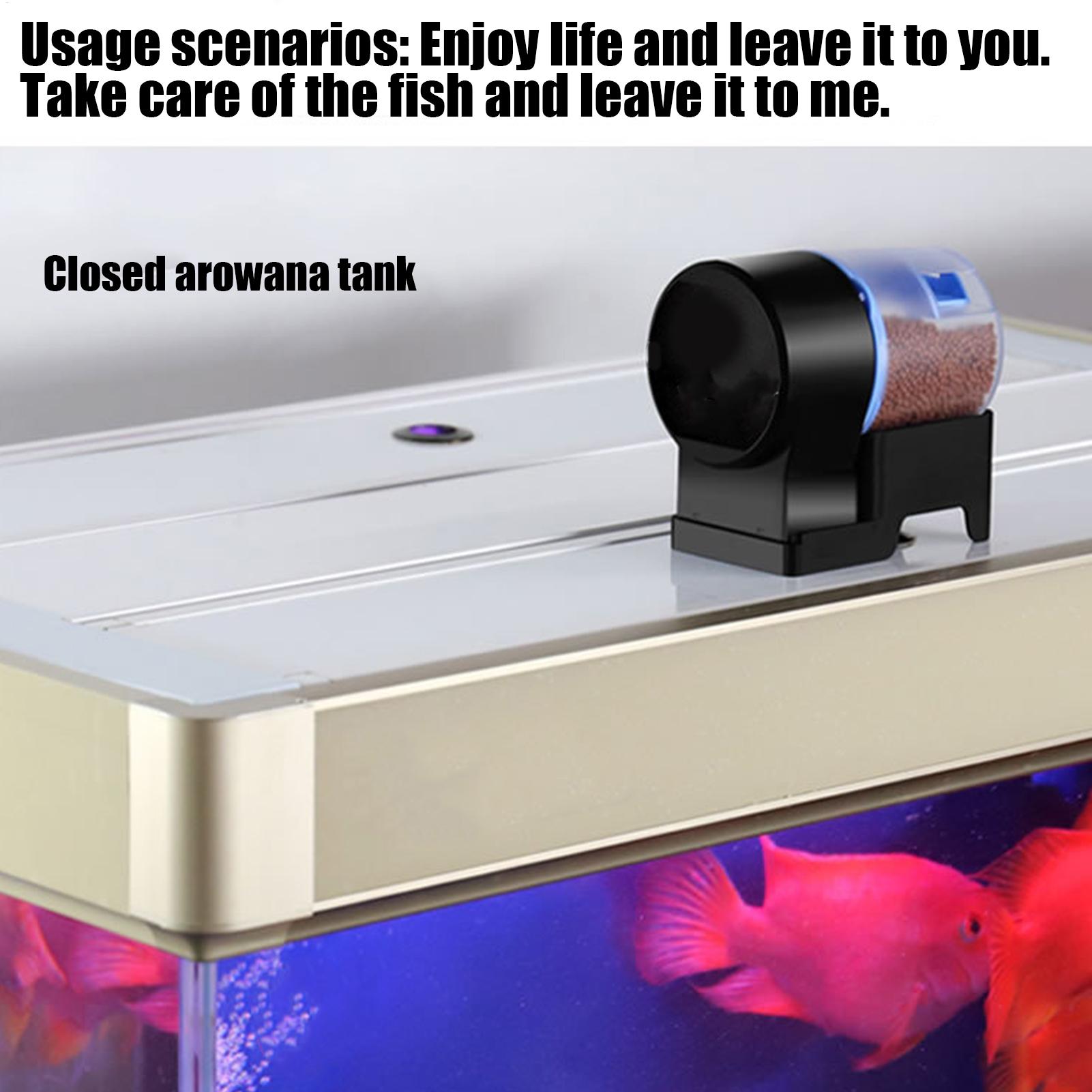 Автоматическая кормушка для ры – обзор и цена Aquarium Fish Auto Feeder