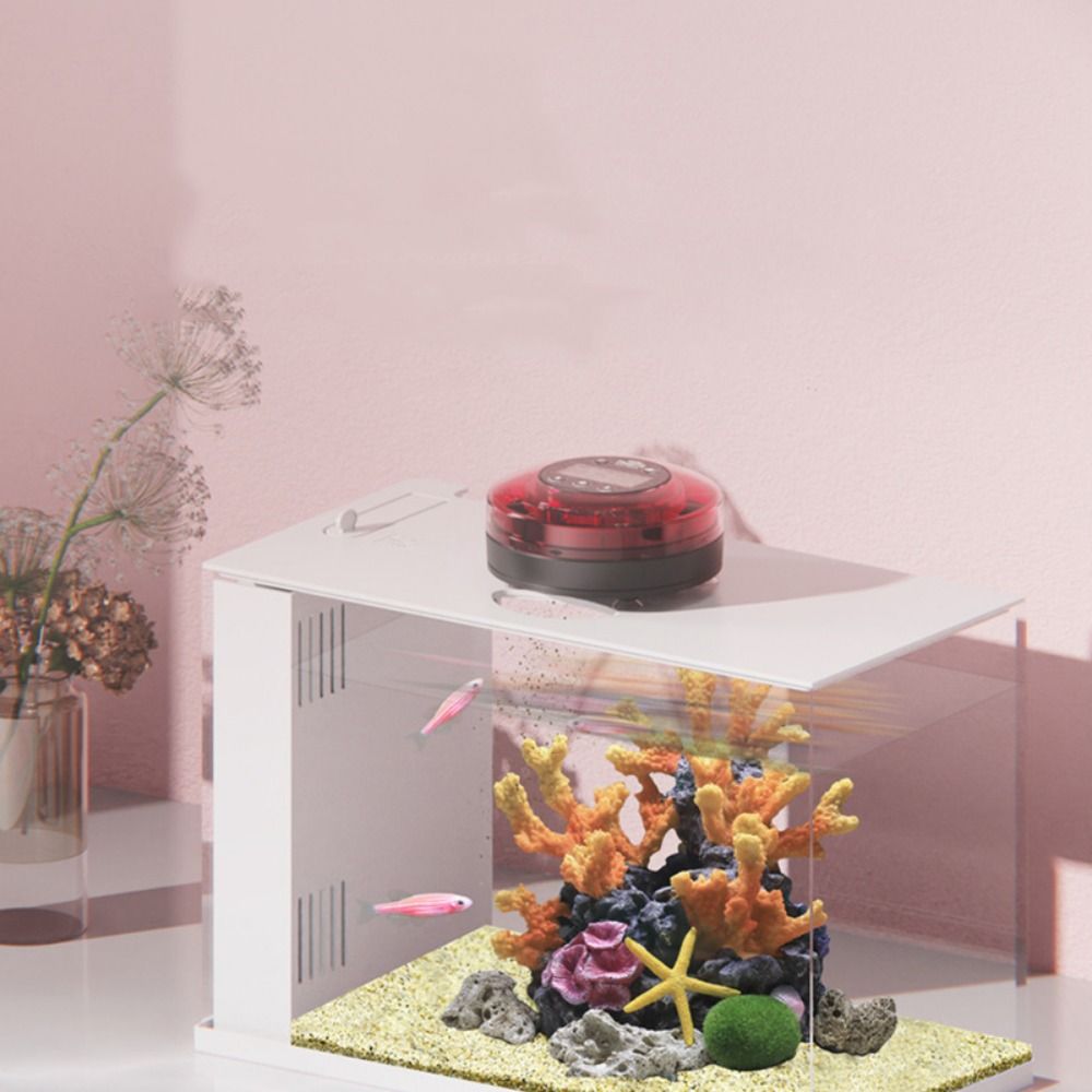 Автоматическая кормушка для ры – обзор и цена Aquarium Fish Auto Feeder
