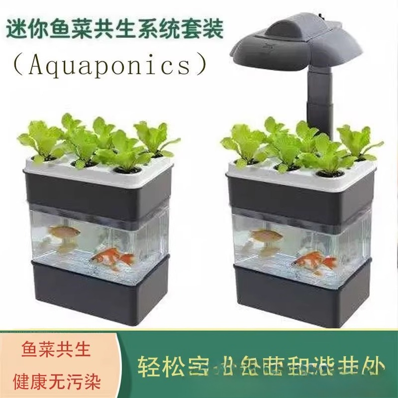 Экспортный аквариум мелкой эко – обзор и цена Aquarium Fish Exporter