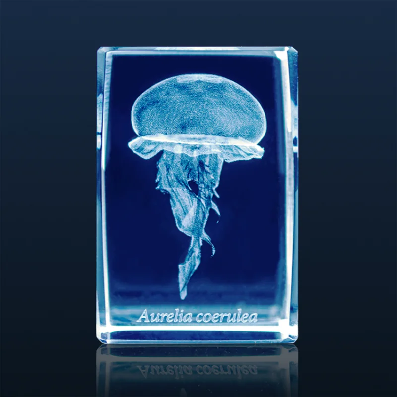 Японская Медуза гасяпон, 3D кр – обзор и цена Aquarium Fish Japan