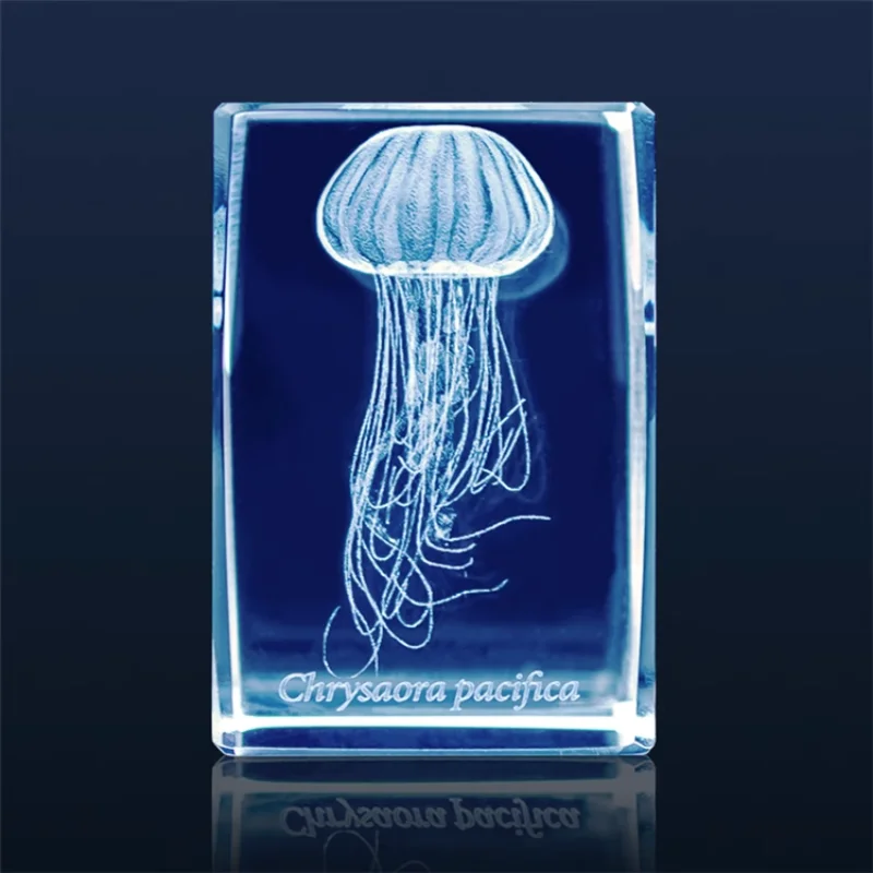 Японская Медуза гасяпон, 3D кр – обзор и цена Aquarium Fish Japan