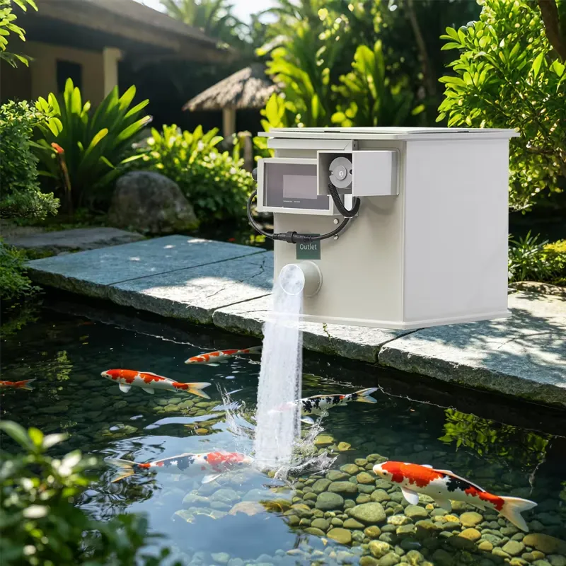 Высококачественный барабанный  – обзор и цена Aquarium Fish High Price