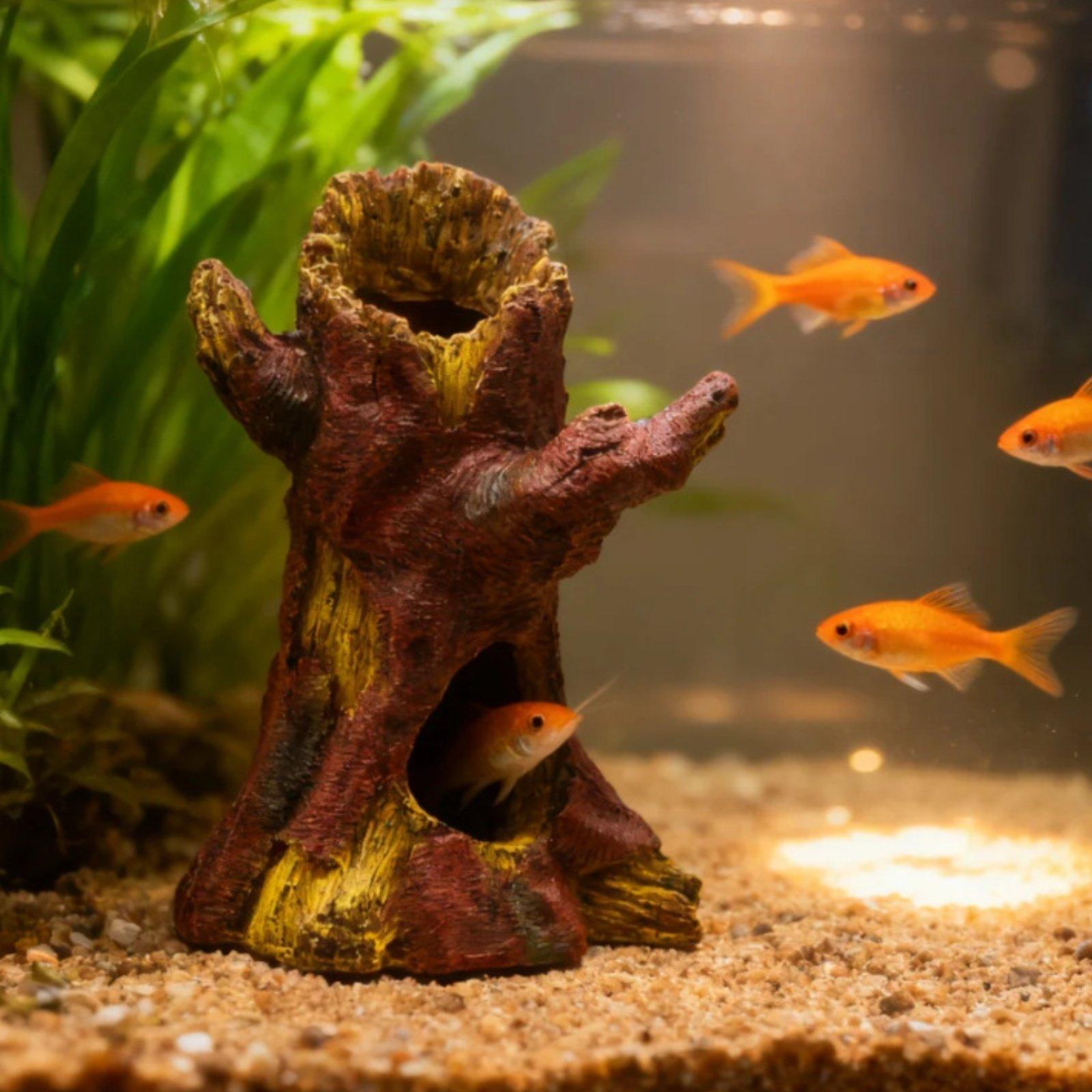 Декор для аквариума: Декоратив – обзор и цена Aquarium Fish Usa