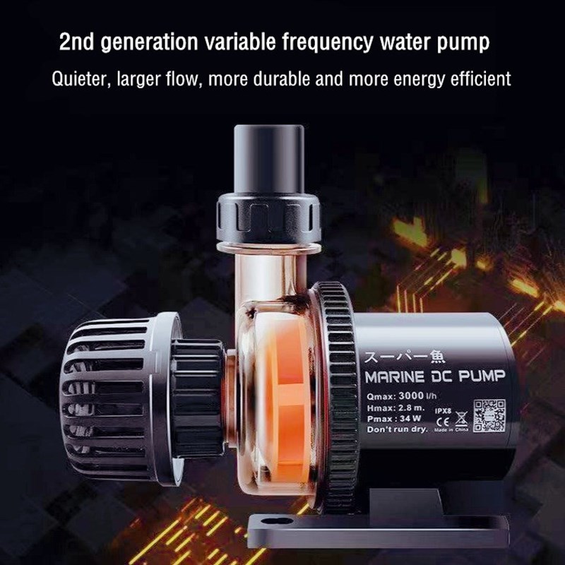 Пользовательские заводские опт – обзор и цена Aquarium Fish High Price