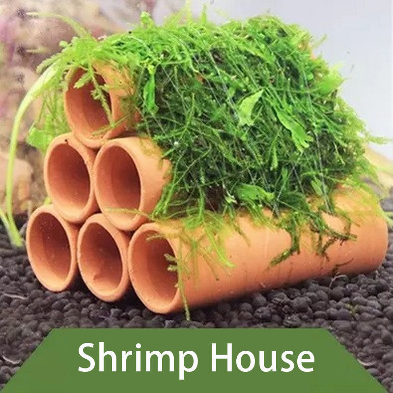 Глиняное украшение для аквариу – обзор и цена Aquarium Fish Hide