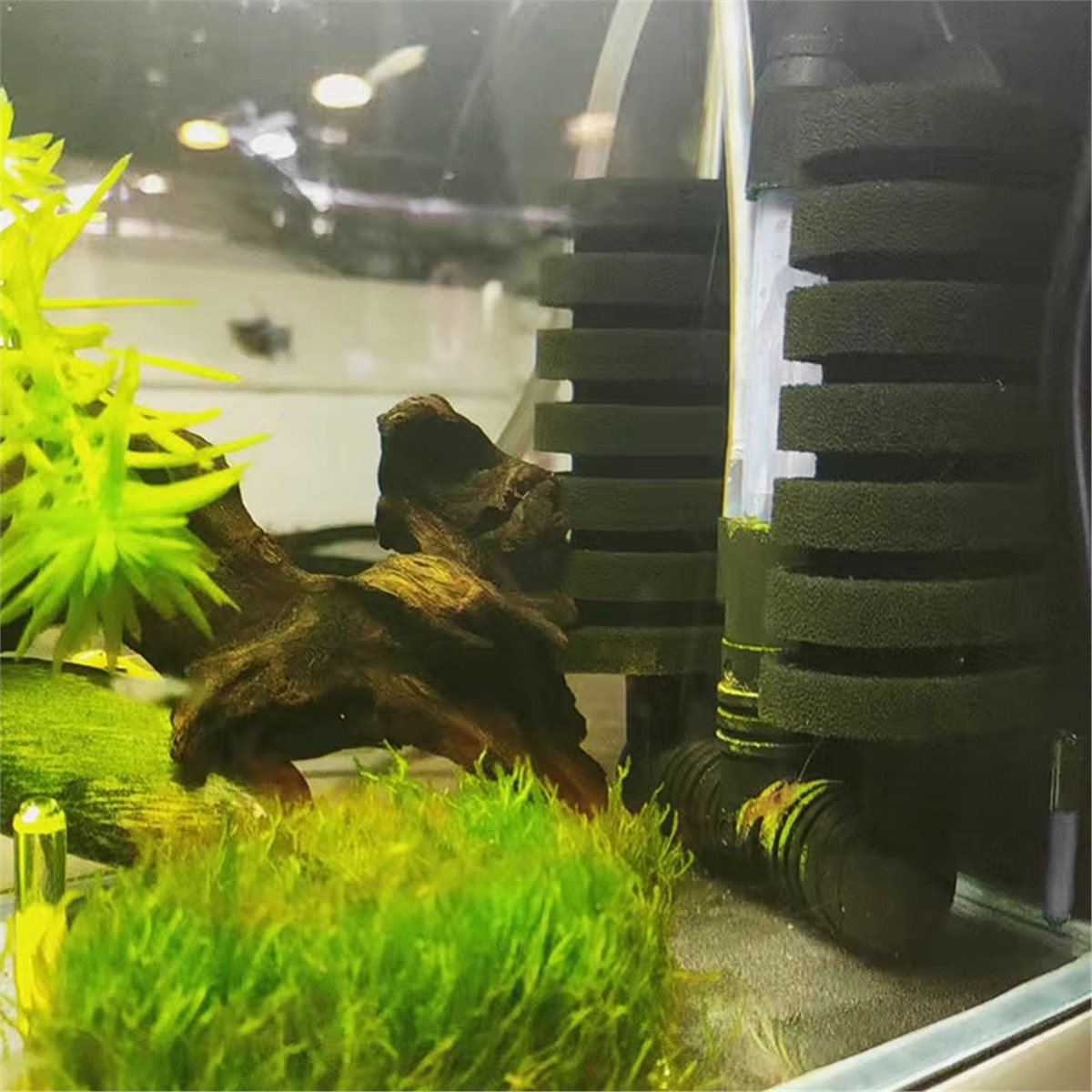 【СОВЕТУЮЩАЯСТЬ】 Набор фильтров – обзор и цена Aquarium Fish List
