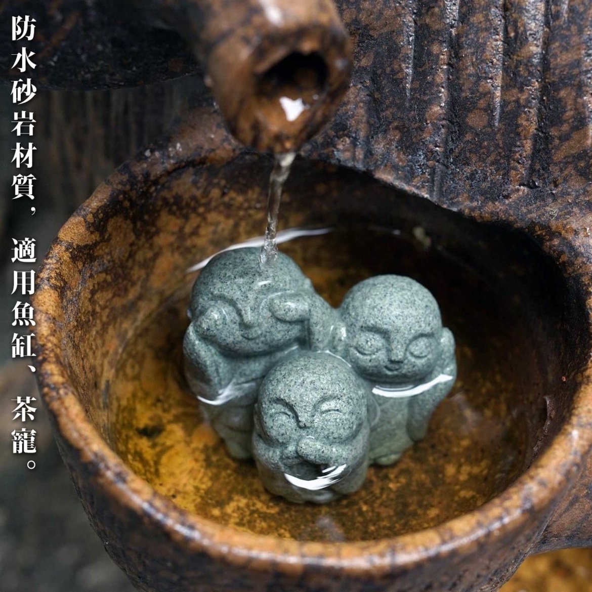 Милый японский монах, Киотский – обзор и цена Aquarium Fish Japan