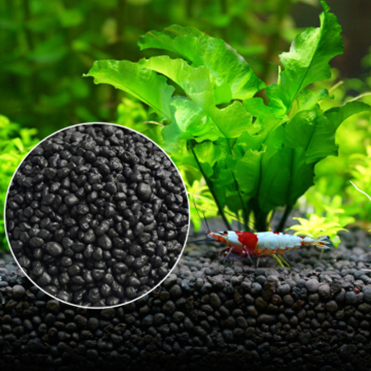 Семена аквариумных растений, п – обзор и цена Aquarium Fish Items