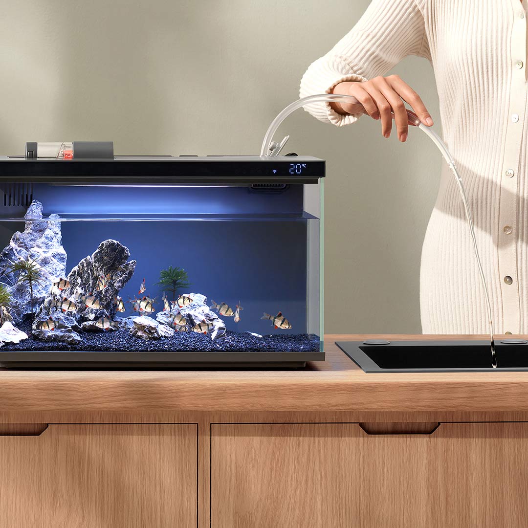 Умный аквариум Xiaomi Mijia MY – обзор и цена Aquarium Fish Items