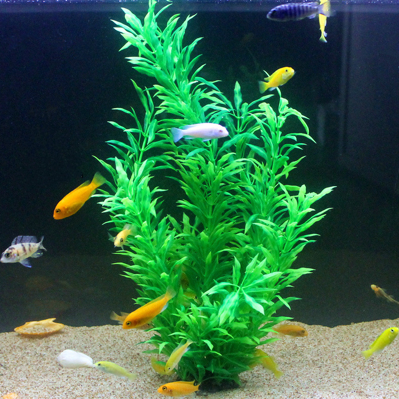 50 см искусственный аквариум р – обзор и цена Aquarium Fish Items