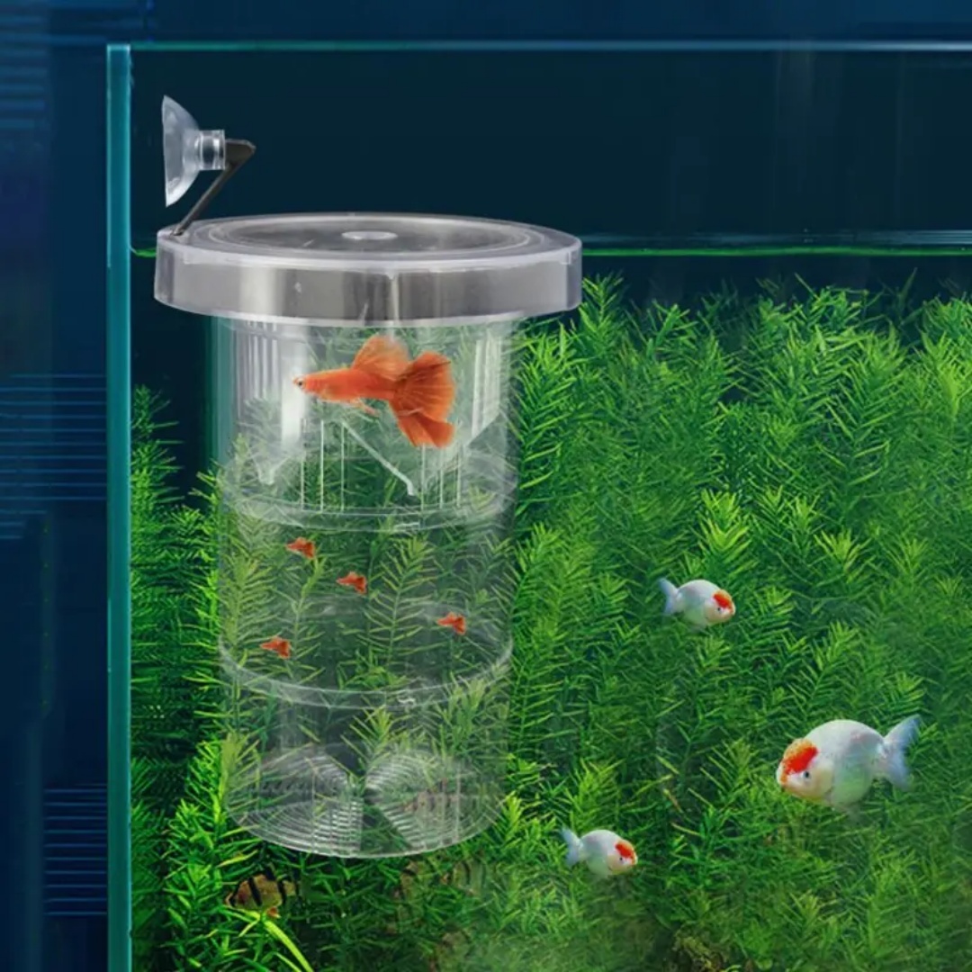 Акриловая плавающая изоляционн – обзор и цена Aquarium Fish Auto Feeder