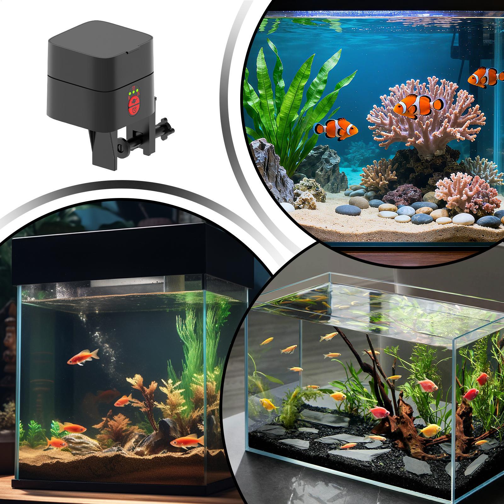 Автоматическая кормушка для ры – обзор и цена Aquarium Fish Auto Feeder