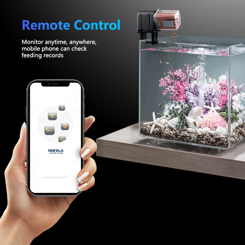 Умная Wi-Fi кормушка для рыбы  – обзор и цена Aquarium Fish Auto Feeder