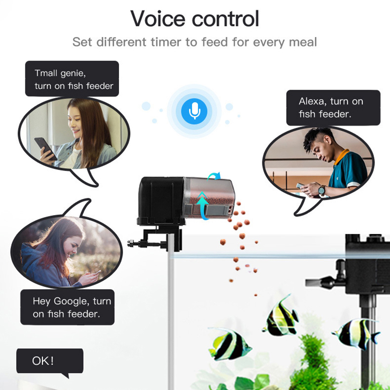 Умная Wi-Fi кормушка для рыбы  – обзор и цена Aquarium Fish Auto Feeder