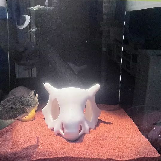 3D печатные фразы, рептилия, с – обзор и цена Aquarium Fish Hide